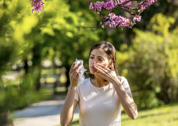 Le Printemps est arrivé… les allergies aussi