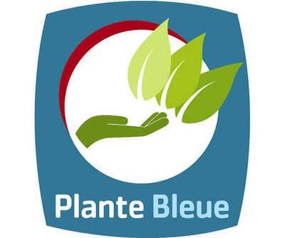 plante bleu