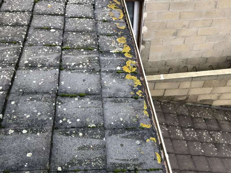 f711f79c-952a-4096-b7d6-250fbc248ab6