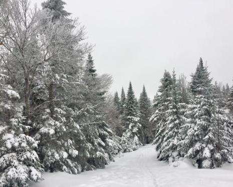 Atelier Bonheur "lettre au père Noël."