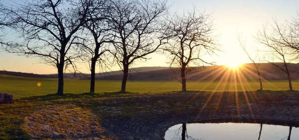 Rechercher l'éclairage du soleil et la chaleur des amis. C'est ce qui est fait face au désespoir. 