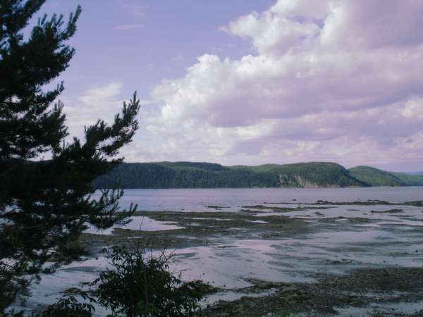 2020 est là ! Qu'allons nous en faire ?