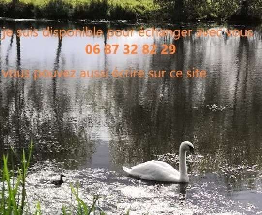 Savoir utiliser nos ressources 