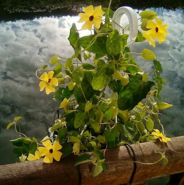 2021 Lettre à mes amis