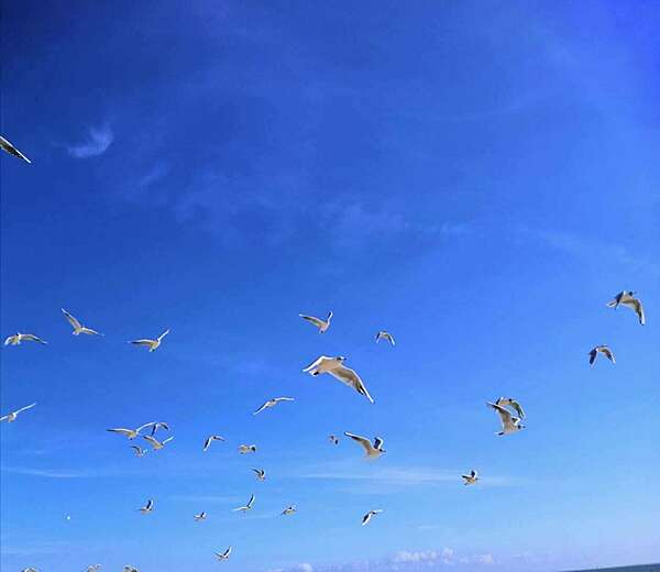Un été de Bonheur !