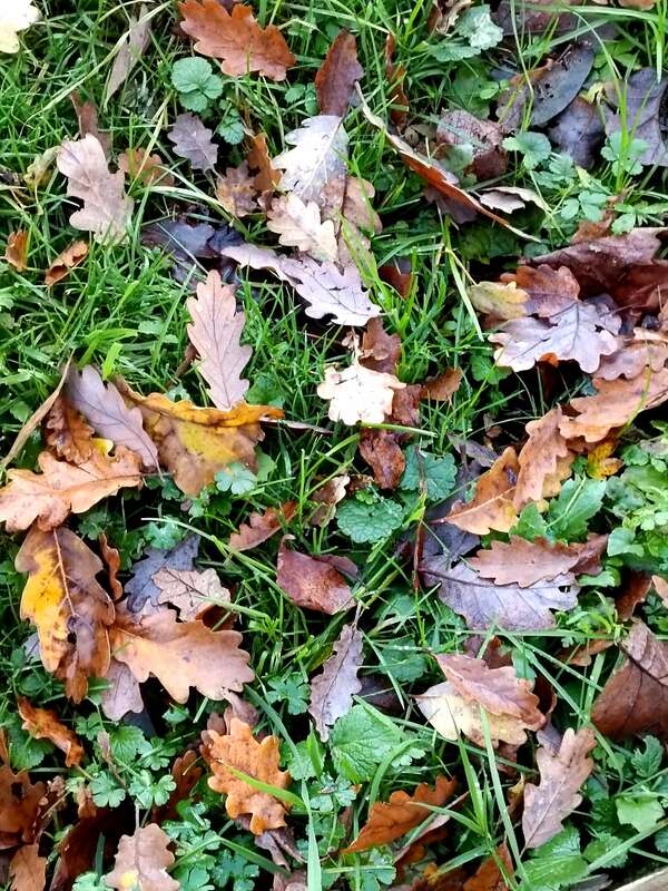 D'or et dors  dehors ?