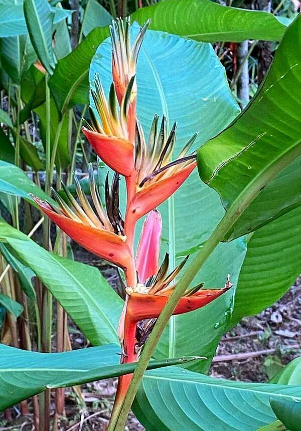 7 Octobre Découvrir l'atelier Bonheur.