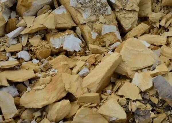 La terre de diatomée : On vous dit tout !