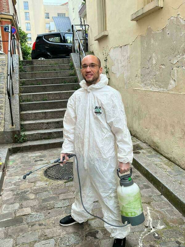 Le prix d'un désinsectiseur sur Paris : Comment bien choisir son professionnel?