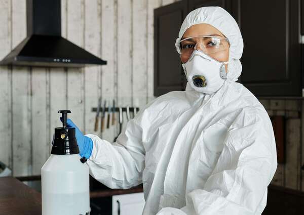 Combien coûte une dératisation à Paris ? Tarifs 2025 détaillés