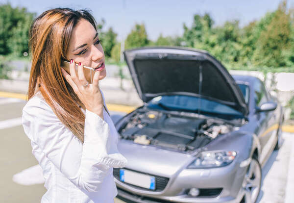 Que faire lorsque l’on a un problème de rongeurs dans un moteur ?