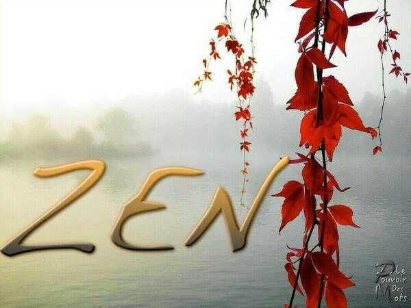 Ralentir avec la sophrologie