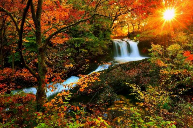version_2000_automne