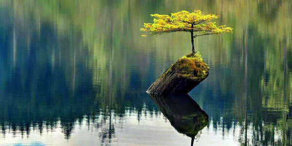 La synergie entre la sophrologie et le yoga : un voyage intérieur vers l'équilibre