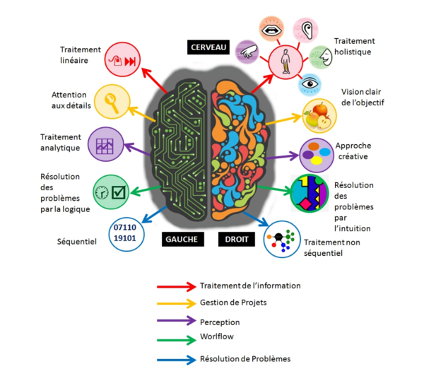 Visualisation et imagerie mentale dans l'Accompagnement Sophrologique.