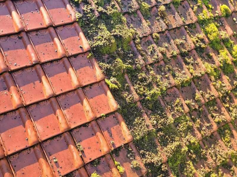 d8296cbd-8e56-4435-a8a0-c0e30732558f