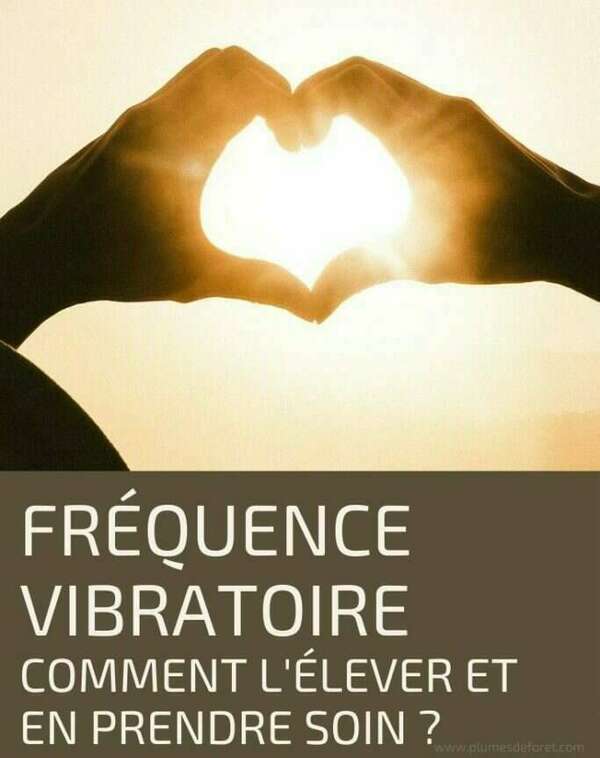 Bilan énergétique gratuit pour évaluer son bilan vibratoire