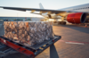 fret-urgences-transport-air-avion-charter