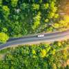 nature logistique route forêt vert green
