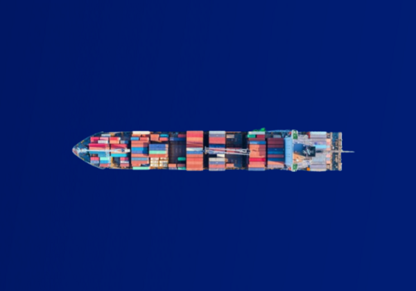 Visite du port du Havre pour partager notre expertise en transport maritime