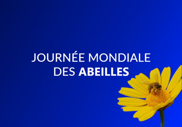 Journée Mondiale des Abeilles