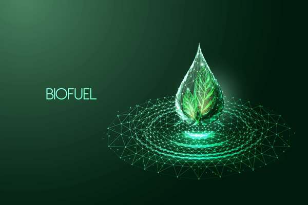 bio carburants transport de marchandises