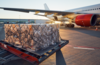 fret-urgences-transport-air-avion-charter