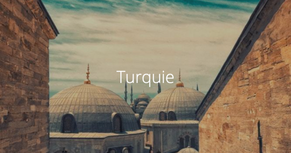 Import-Export avec la Turquie - Certificat A.TR : nouvelles modalités douanières