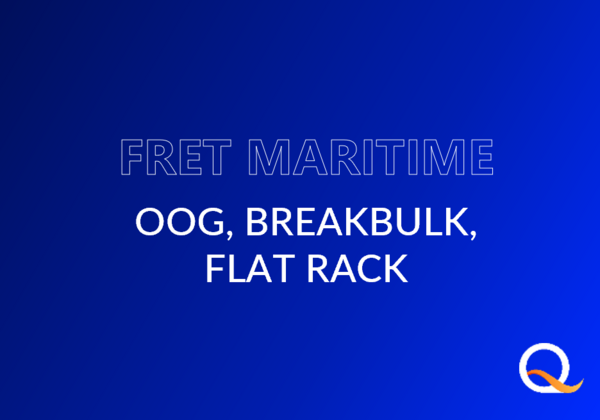 Flat-Rack, Ro-Ro, Breakbulk : quelles possibilités pour votre Fret OOG (hors-gabarit) ?