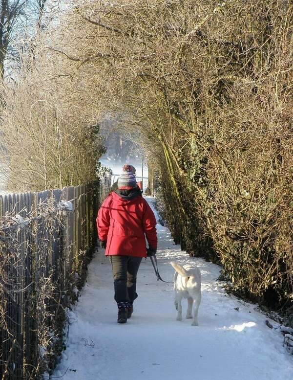 Bienfaits de la promenade en hiver