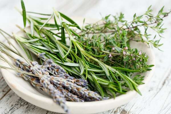 L'art de se soigner avec les plantes