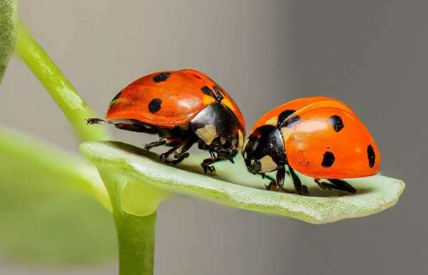 Vivre le moment présent