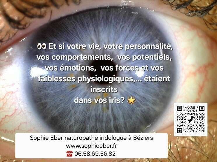 iridologie-www-sophieeber-fr