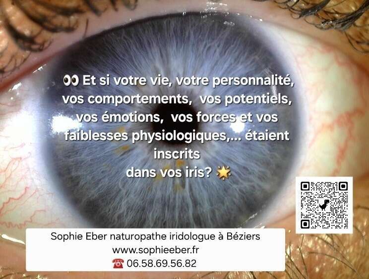 iridologie-www-sophieeber-fr