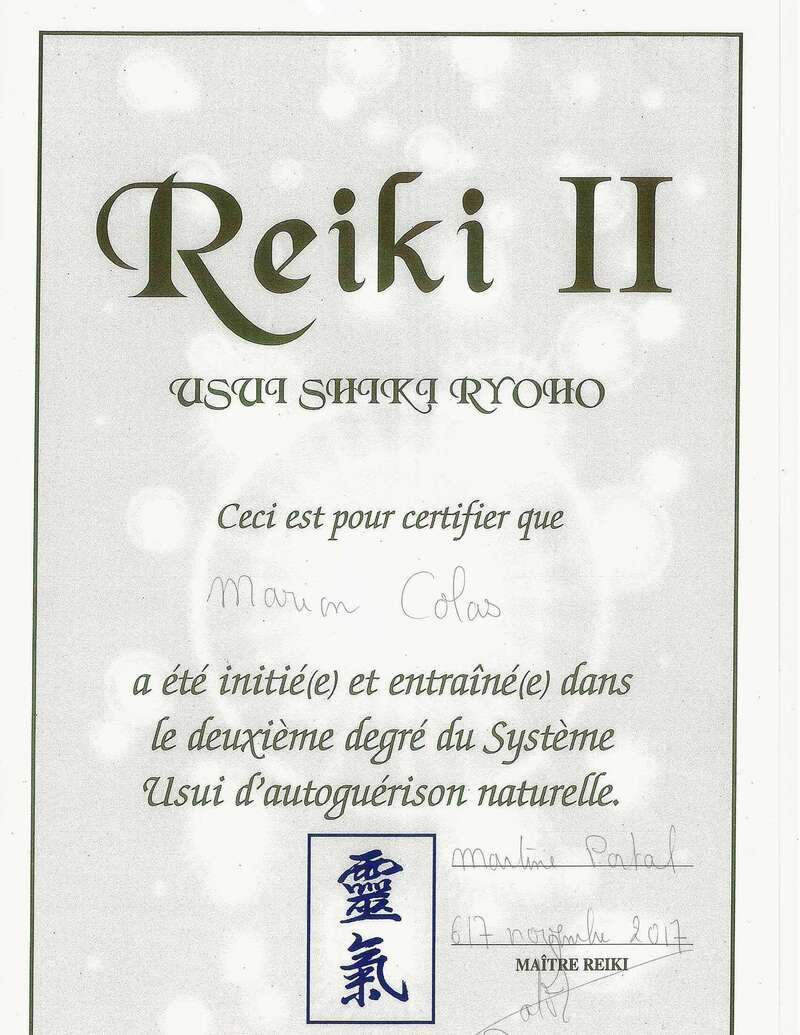 reiki220230406-459579-1oojklh