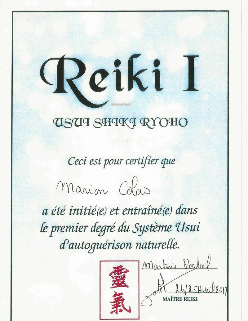 reiki120230406-459579-i4qd1a