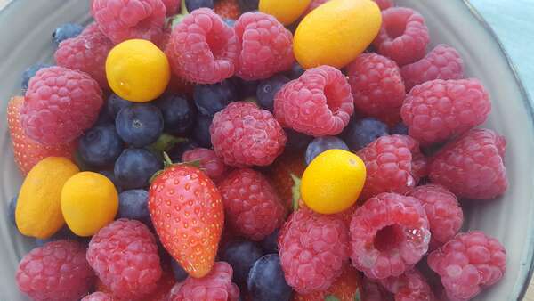 Fruits et légumes de saison