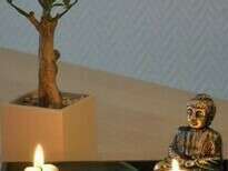 b3c80a_9f901022a00549718f338b354a4d6a8e20201016-48144-1ff64i9