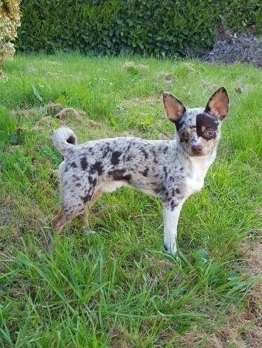 nortone20241128-3213224-t0l8nt