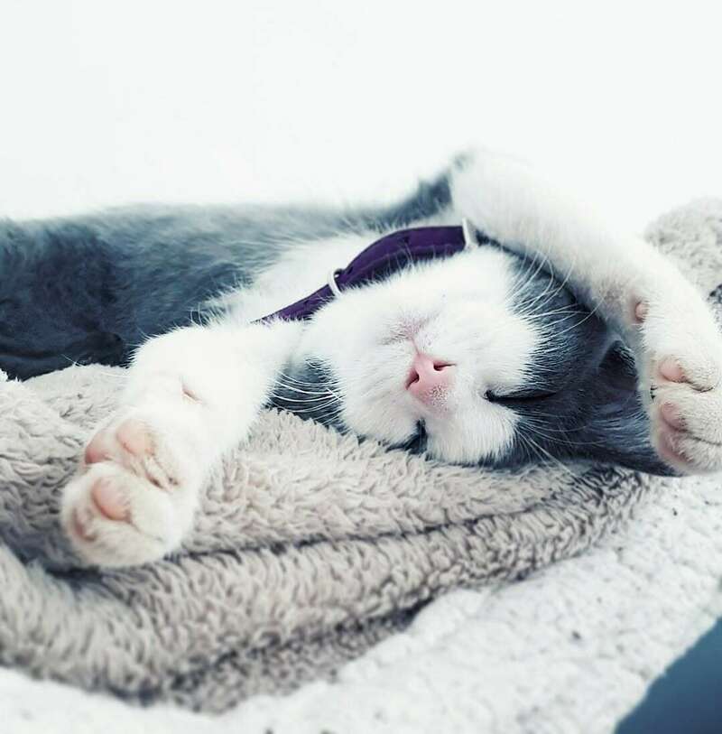 olympe_220241128-3208060-ovbqnj