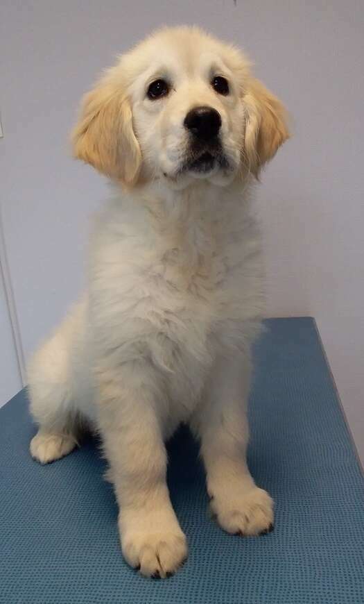 jkj20241128-3198898-1cqitd