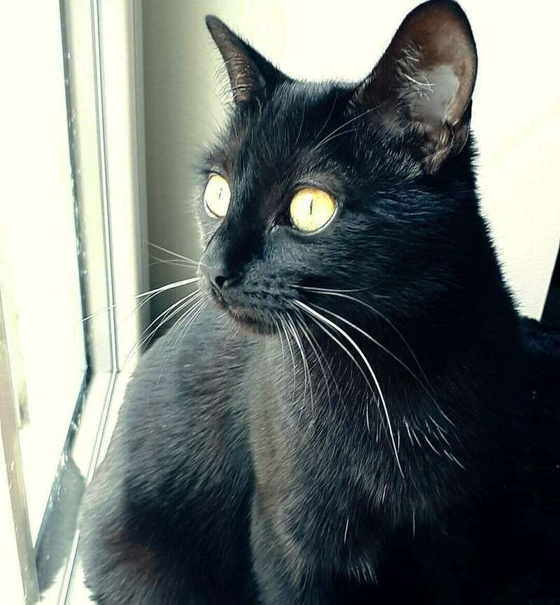 maila_220241128-3203310-1d1k0kj