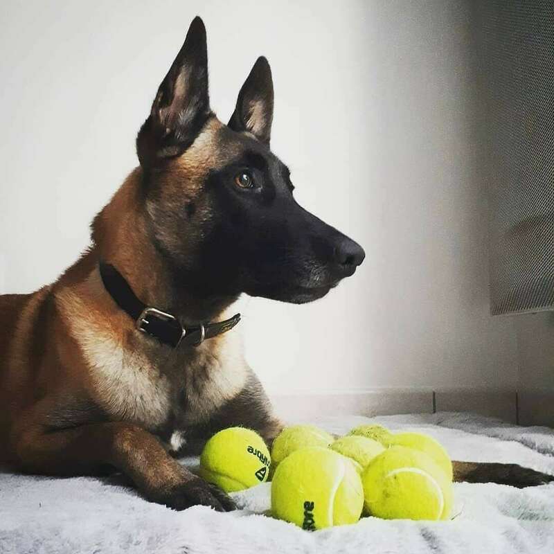 myra_220241128-3218114-yrq6d1