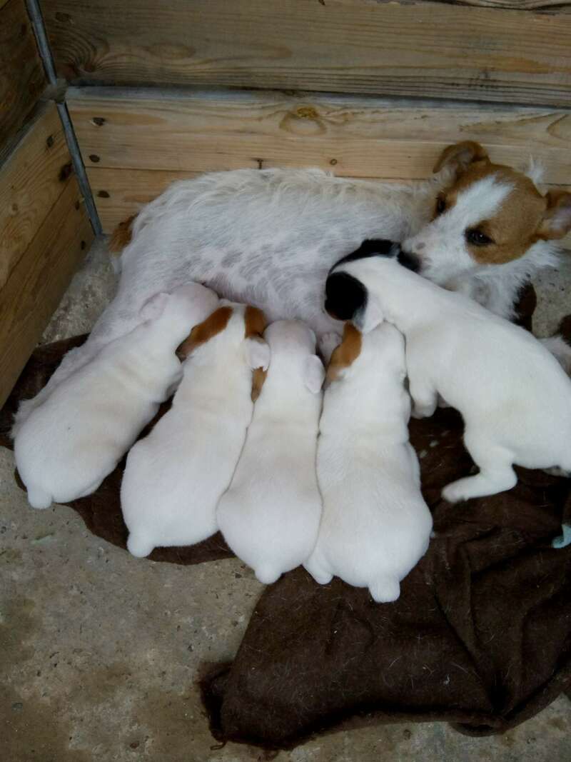 img_20180905_12475151920241128-3203310-1o4c5mt