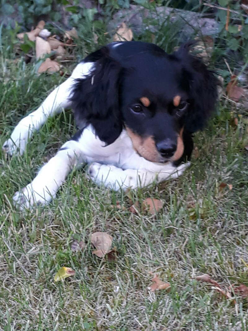 img_20190525_17342220241128-3208060-1b3smnw