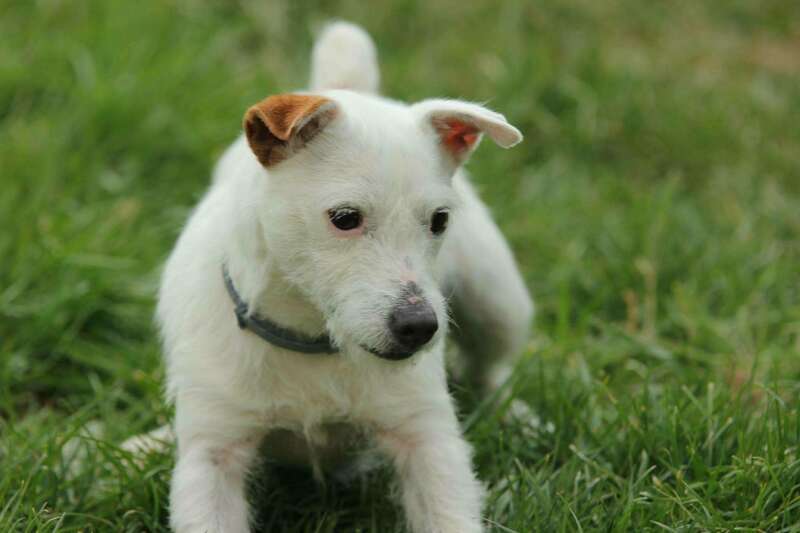 hypso20241128-3213224-xf0wlt