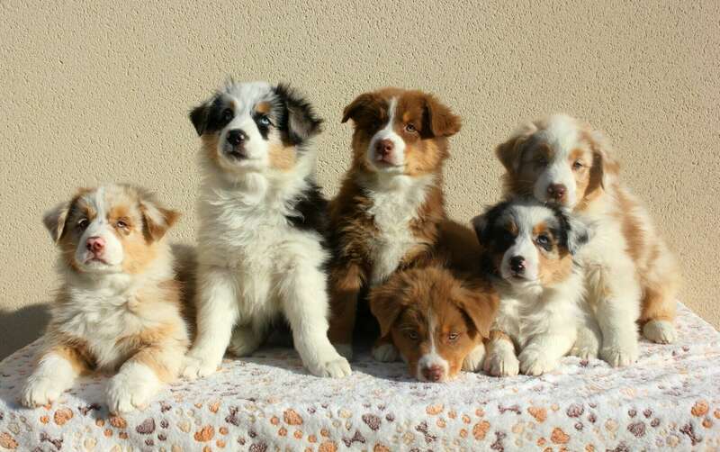 img_853220241128-3208060-1o4c5mt