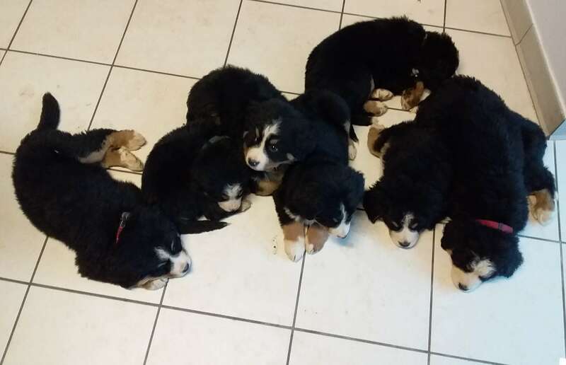 20190123_14410820241128-3208060-1ase3bg