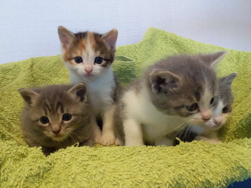 20190514_16262220241128-3198898-b40y87