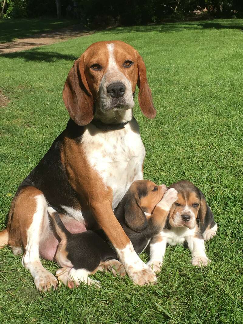 img_276920241128-3198898-1vdiyzg